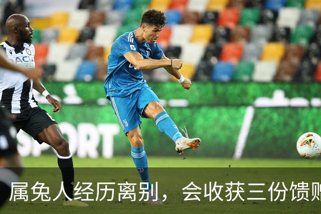 属兔人经历离别，会收获三份馈赠